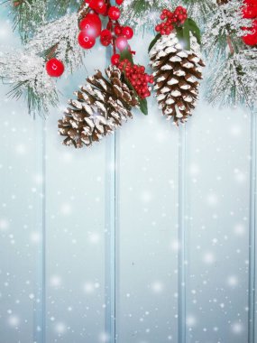 kar koni kış çilek ile Noel köknar ağacı şube