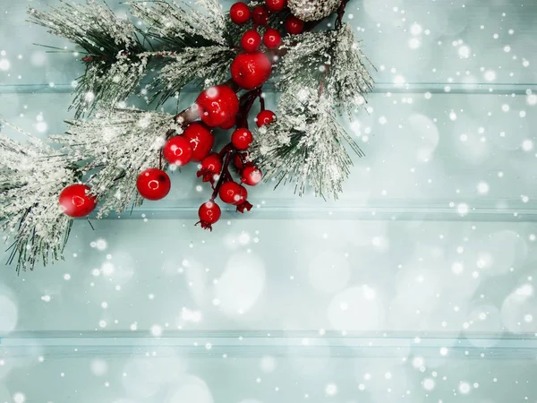 Ramo di abete di Natale con coni bacche invernali in neve — Foto Stock