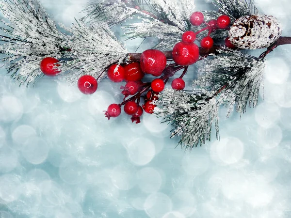 Tannenzweig mit Zapfen Winterbeeren im Schnee — Stockfoto