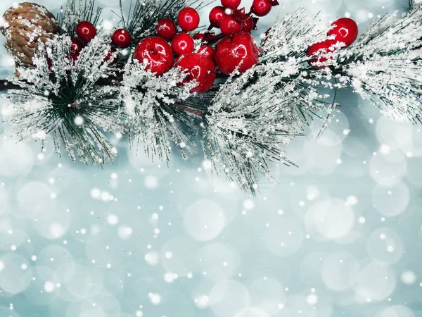 kar koni kış çilek ile Noel köknar ağacı şube