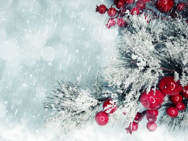 Рождественская елка ветви с шишками зимние ягоды в снегу — стоковое фото
