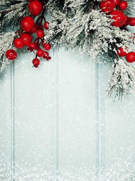 Rama de abeto de Navidad con conos bayas de invierno en la nieve —  Fotos de Stock