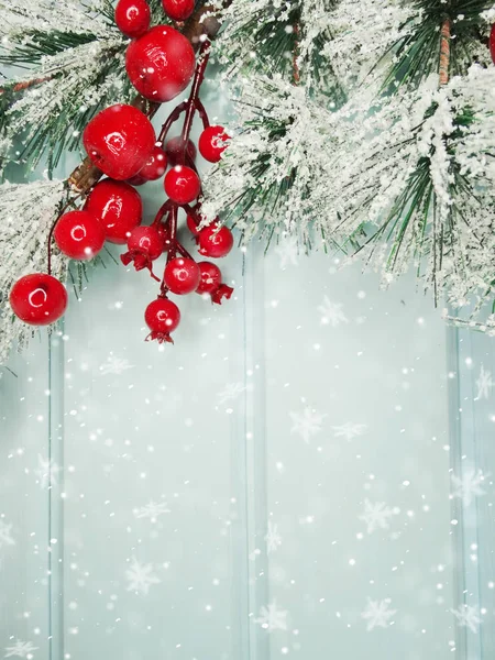 Větev vánoční jedle s kužele Zimní bobule — Stock fotografie