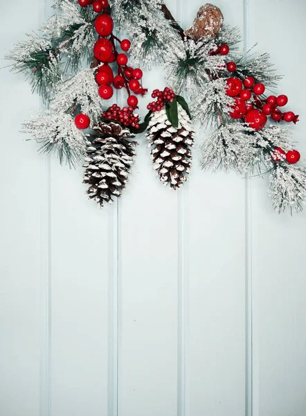 눈 콘 겨울 열매와 크리스마스 전나무 나무 가지 — 스톡 사진