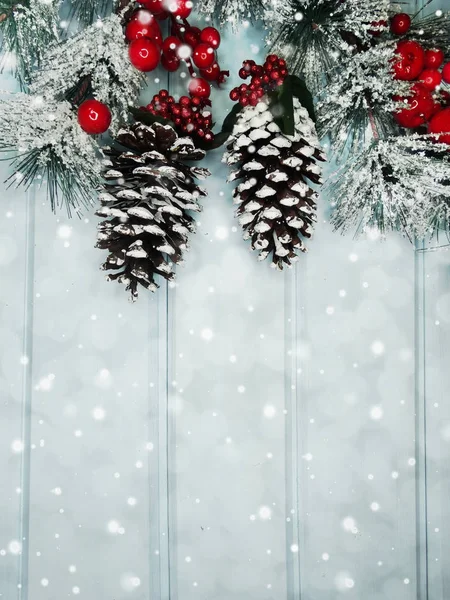 kar koni kış çilek ile Noel köknar ağacı şube