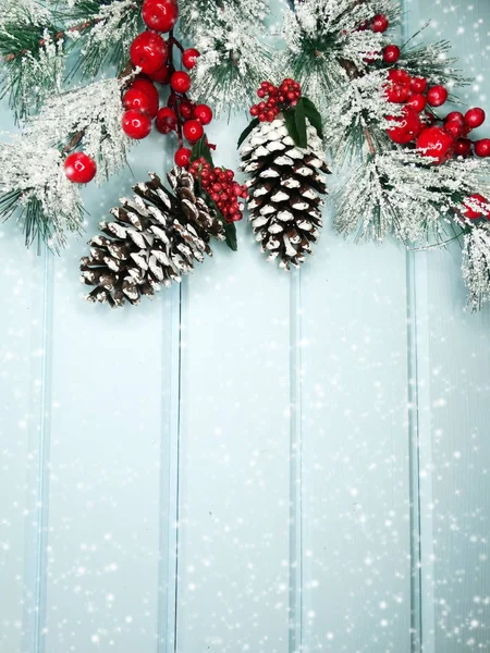 Karácsonyi fenyő ág kúpok téli bogyók a hóban — Stock Fotó