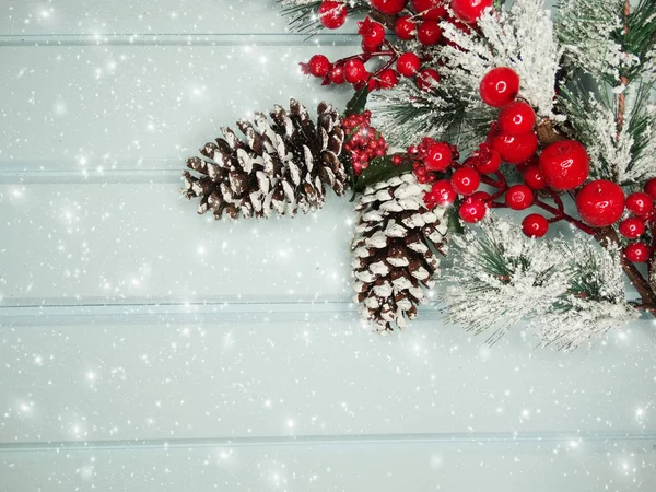 Karácsonyi fenyő ág kúpok téli bogyók a hóban — Stock Fotó