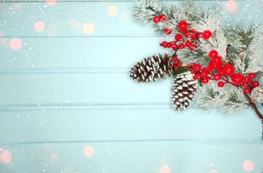 kar koni kış çilek ile Noel köknar ağacı şube