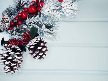 kar koni kış çilek ile Noel köknar ağacı şube