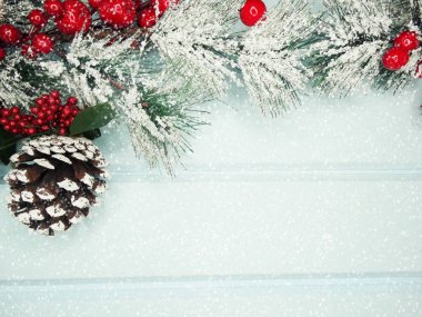 kar koni kış çilek ile Noel köknar ağacı şube