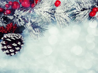 kar koni kış çilek ile Noel köknar ağacı şube