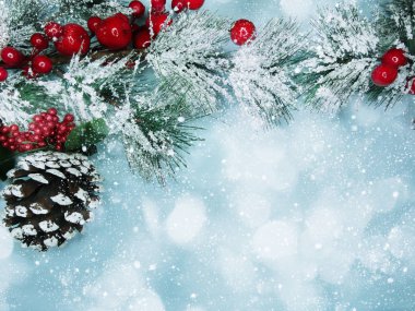 kar koni kış çilek ile Noel köknar ağacı şube