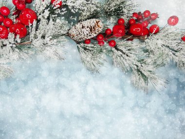 kar koni kış çilek ile Noel köknar ağacı şube