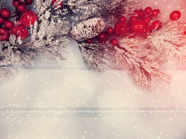 kar koni kış çilek ile Noel köknar ağacı şube