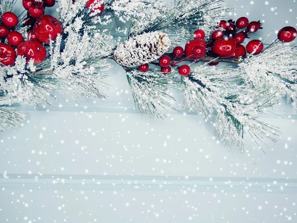 Větev vánoční jedle s kužele Zimní bobule — Stock fotografie