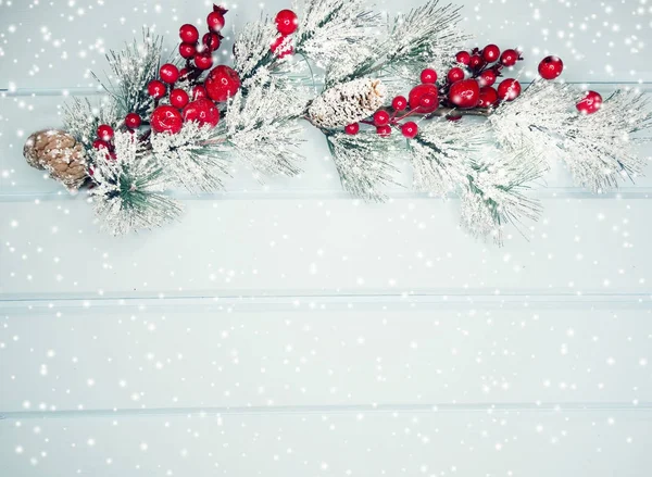 Branche de sapin de Noël avec cônes baies d'hiver dans la neige — Photo