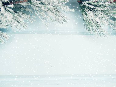 kar koni kış ile Noel köknar ağacı şube