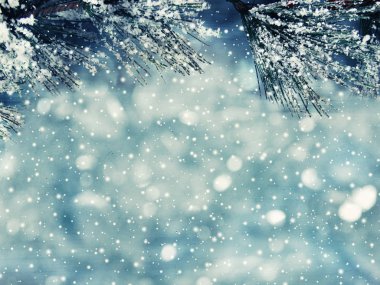 kar koni kış çilek ile Noel köknar ağacı şube