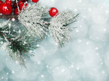 kar koni kış çilek ile Noel köknar ağacı şube