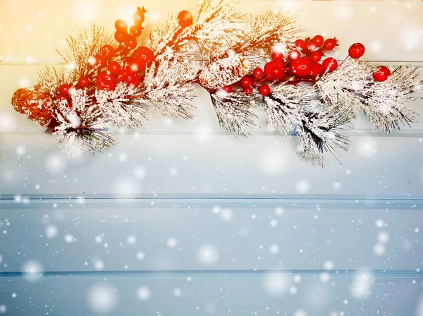 雪の中でコーン冬のベリーとクリスマスモミの木の枝 — ストック写真