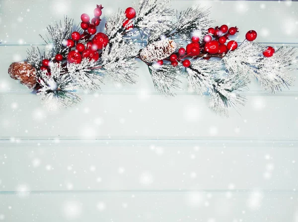 kar koni kış çilek ile Noel köknar ağacı şube