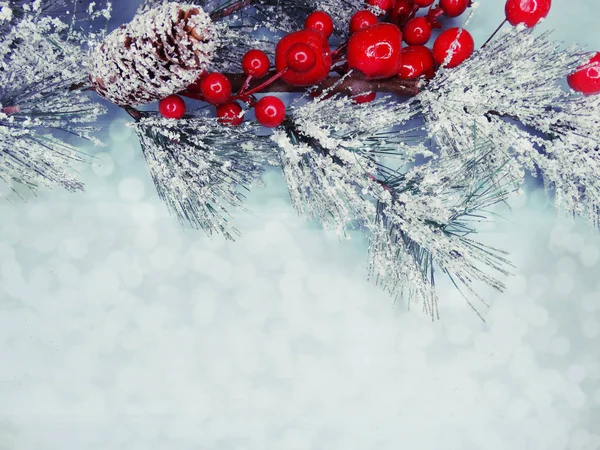 Ramo di abete di Natale con coni bacche invernali in neve — Foto Stock