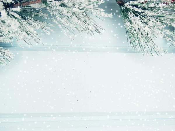 Ramo di abete di Natale con coni inverno nella neve — Foto Stock