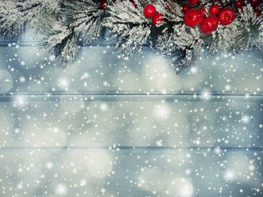 kar koni kış çilek ile Noel köknar ağacı şube