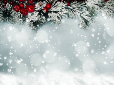 kar koni kış çilek ile Noel köknar ağacı şube