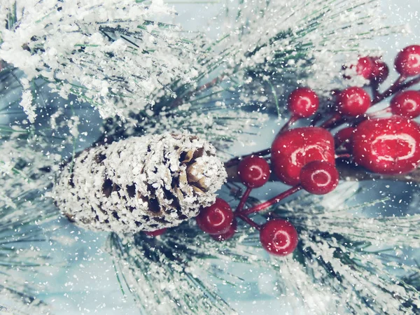 Christmas fir tree branch with cones winter berries in snow — Stock Photo, Image