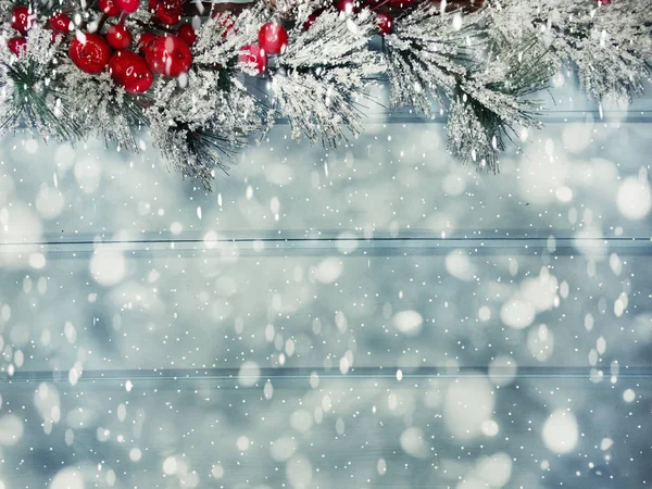 Rama de abeto de Navidad con conos bayas de invierno en la nieve — Foto de Stock