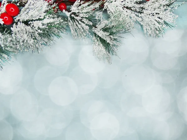 Ramo de abeto de natal com cones bagas de inverno na neve — Fotografia de Stock