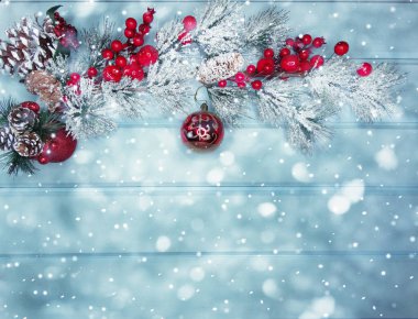 kar koni kış çilek ile Noel köknar ağacı şube