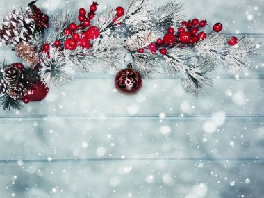 kar koni kış çilek ile Noel köknar ağacı şube