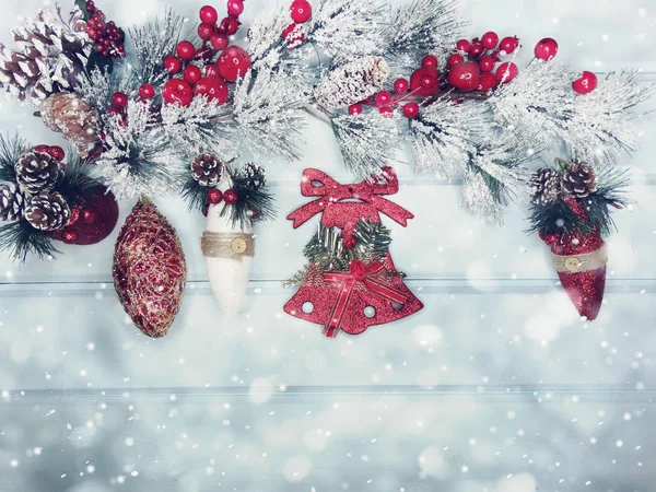 kar koni kış çilek ile Noel köknar ağacı şube