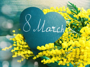 Mimoza sarı bush bahar çiçek arka plan 8 Mart kartı