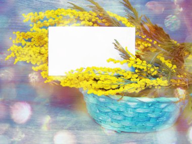 Mimoza sarı bush bahar çiçek arka plan 8 Mart kartı