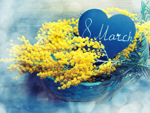 Mimosa amarillo arbusto primavera floral fondo 8 tarjeta de marzo —  Fotos de Stock