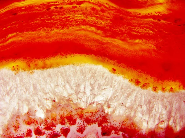 Agate คริสตัลควอตซ์ closeup รายละเอียดคริสตัลทางธรณีวิทยา — ภาพถ่ายสต็อก