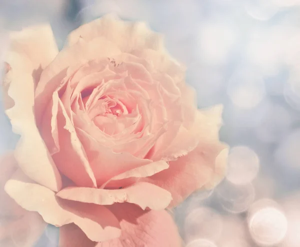Rosa Hintergrund mit Unschärfen für Hochzeit Valentinstag Urlaub ca — Stockfoto
