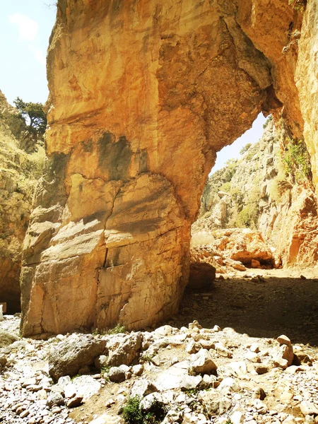 Desfiladero en las altas montañas y el paisaje del bosque de pinos en Creta islan —  Fotos de Stock