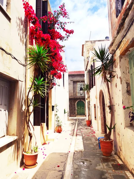 Strada tradizionale con bouganville luminose in Grecia — Foto Stock