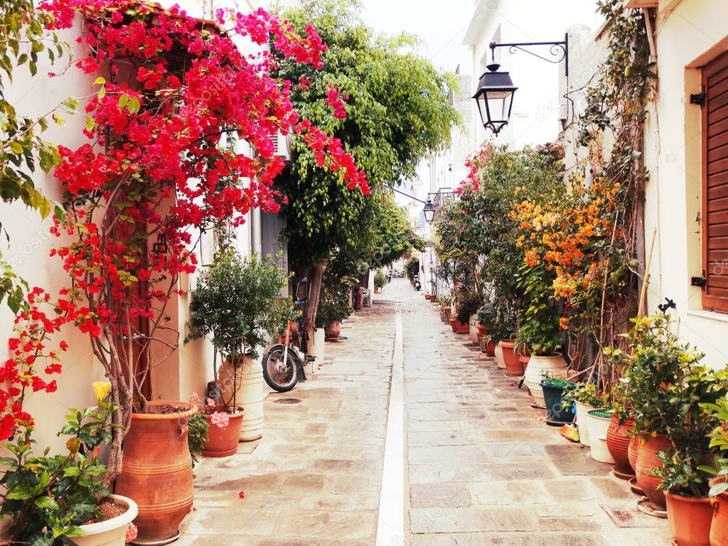 traditional street with bright bougainvillea in Greece 