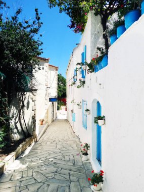 parlak Begonvil Yunanistan ile geleneksel sokak 