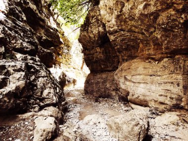Girit ıslan üzerinde yüksek dağlar ve çam ormanı manzara Gorge