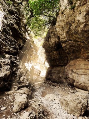 Girit ıslan üzerinde yüksek dağlar ve çam ormanı manzara Gorge