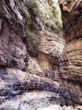 Girit ıslan üzerinde yüksek dağlar ve çam ormanı manzara Gorge