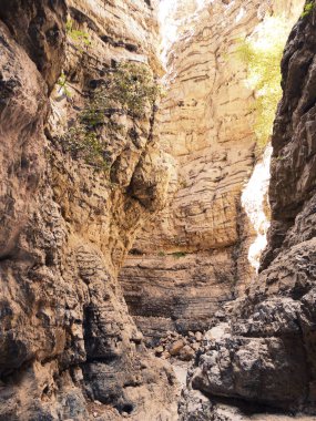 Girit ıslan üzerinde yüksek dağlar ve çam ormanı manzara Gorge