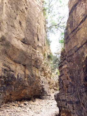 Girit ıslan üzerinde yüksek dağlar ve çam ormanı manzara Gorge