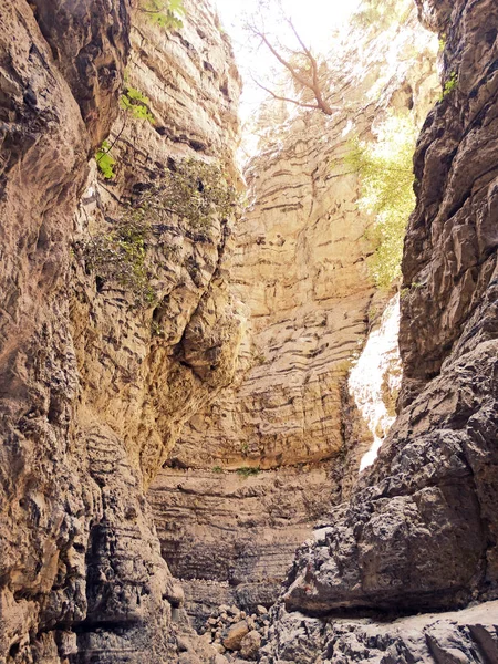 Girit ıslan üzerinde yüksek dağlar ve çam ormanı manzara Gorge